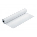 Epson Premium - Pololesklý - Role (111,8 cm x 30,5 m) - 255 g m2 - 1 role fotografický papír - pro Stylus Pro 11880, Pro 98XX; SureColor SC-P10000, P20000, P8000, P9000, P9500, T7000, T7200