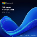 Dell 10x CAL User Windows Server 2025 2022 OEM