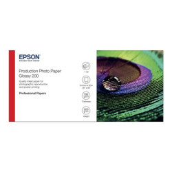 Epson Production - Polyetylén (PE) - lesklý - mikropóry - 200 micron - Role (91,4 cm x 30 m) - 200 g m? - 1 role fotografický papír - pro Stylus Pro 9890; SureColor P10000, P20000, SC-P10000, P20000, P8000, P9000, P9500, T7200