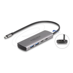 Delock - Rozbocovac - 10 Gbps, with USB Type-C connector and additional power port - 2 x USB-C + 2 x USB - desktop