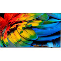 Philips HTV – 50" Business TV televizor