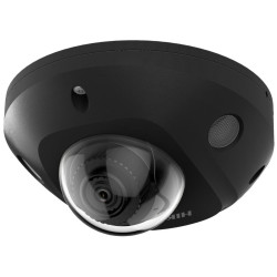 Hikvision DS-2CD2543G2-IS(2.8mm)(BLACK) - 4MPix IP Mini Dome kamera ; IR 30m, IP67, Audio, Alarm, černá