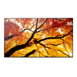 43" LED SHARP M432,3840x2160,IPS,24 7,500cd