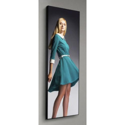 58.5" Artemis BAR-3840x1080,1000cd,AN,24 7
