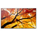 50" LED SHARP M502,3840x2160,24 7