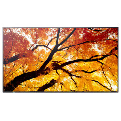 50" LED SHARP M502,3840x2160,24 7