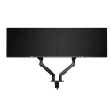 AOC AM420B Monitor Dual arm 17-34" (2x monitor s VESA 75x75 a 100x100mm)