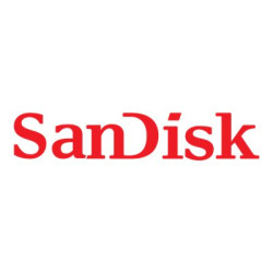 SanDisk Extreme PRO - Pametová karta flash - 64 GB - Video Class V30 UHS-I - SDXC UHS-I