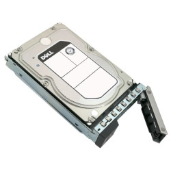 DELL disk 4TB 7.2K NLSAS 12Gbps 512n 3.5" Hot-Plug pro PE R240 R250 R340 R350 R440 R450 R540 R550 R640 R650 R6615
