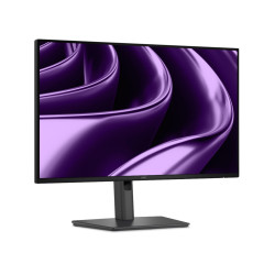Dell Pro P P2426HE 24" IPS FHD 120Hz 5ms Černá 3RNBD