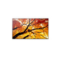 Sharp 75" MultiSync M752- 24 7, 550 cd, IPS LED, 3840x2160, 16:9, 8ms, 8000:1, DP, 2x HDMI, USB