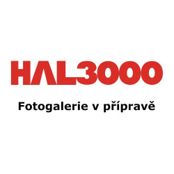 HAL3000 Online Gamer R5-5600 16 GB 1 TB Intel Arc A310 4 GB W11H