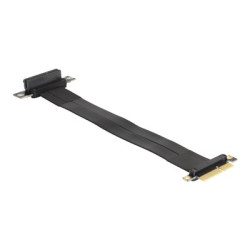 Delock - Riser karta