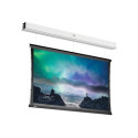 Da-Lite Tensioned DescenderPro - Projekcní obrazovka - montáž na strop - motorizovaná - 230 V - 103.94" (264 cm) - 16:9 - Matte White (Tensioned) - RAL 9016
