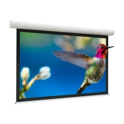 Projecta Elpro Concept RF Wide Format - Projekcní obrazovka - montáž na strop, montáž na stenu - motorizovaná - 230 V - 181.1" (460 cm) - 16:10 - matne bílý - RAL 9016, traffic white