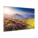 Da-Lite FullVision - Projekcní obrazovka - montáž na stenu - 113" (287 cm) - 16:9 - HD Progressive 1.3