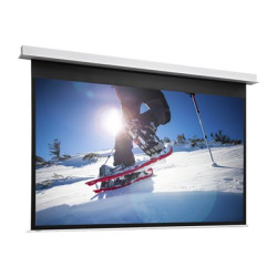 Projecta DescenderPro - Projekcní obrazovka - zápustná stropní montáž - motorizovaná - 230 V - 149" (378 cm) - 16:9 - matne bílý - RAL 9016