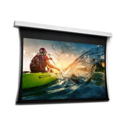 Da-Lite Tensioned DescenderPro - Projection screen surface with motor and roller - zápustná stropní montáž - 135" (343 cm) - 16:10 - matne bílý