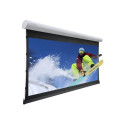 Projecta Tensioned Elpro Concept RF HD HDTV Format - Projekcní obrazovka - montáž na strop, montáž na stenu - motorizovaná - 230 V - 149" (379 cm) - 16:9 - HD Progressive 1.1 - RAL 9016, traffic white