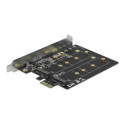 Delock - Radic úložište - M.2 - M.2 Card - nízký profil - PCIe 3.0