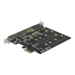 Delock - Radic úložište - M.2 - M.2 Card - nízký profil - PCIe 3.0