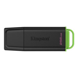 Kingston DataTraveler Exodia - Jednotka USB flash - 256 GB - USB 3.2 Gen 1