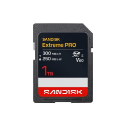 SanDisk Extreme PRO - Pametová karta flash - 1 TB - Video Class V60 UHS-II - SDXC UHS-II