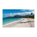 Sharp 55" MultiSync UN553S - 24 7, 700 cd, IPS LED, 1920 x 1080, 16:9, 8ms, 3500:1, VGA, 2x HDMI,2xDP, USB