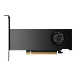 NVIDIA RTX PRO 2000 Blackwell - Grafická karta - RTX PRO 2000 Blackwell - 16 GB GDDR6 - 4 x Mini DisplayPort