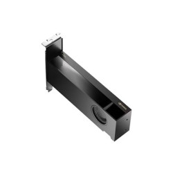 NVIDIA RTX 2000 Ada Generation - Grafická karta - NVIDIA RTX 2000 Ada - 16 GB GDDR6 - PCIe 4.0 x8 - 4 x Mini DisplayPort