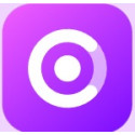 Wondershare OrgCharting 100                                                                                                                                                                              (Win)