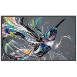 PHILIPS 55BDL3511Q LCD IPS/PLS 54,6", 3840 x 2160, 9 ms, 400 cd, 1 300:1, 60 Hz, 18/7  (55BDL3511Q/00)